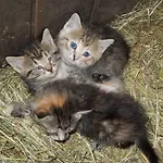 Farm stay Filzerlehen *