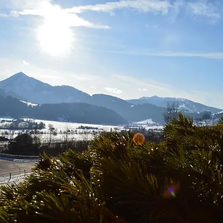 Filzerlehen *