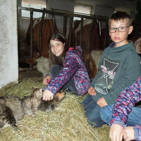 Agroturismo Filzerlehen *