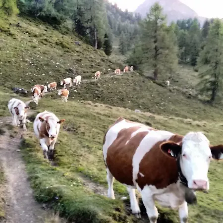 Filzerlehen * Radstadt